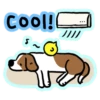 Cool!
S
}}}}
