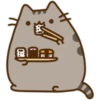 Pusheen The Cat 11