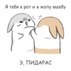 RABBITPYL 8