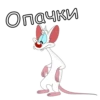 Pinki_Brein 9