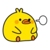 Plump Little Chick 15