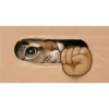 Animales Brazos 1 13