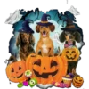 Halloweenie 1 Clásica 14