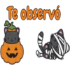 Te observó
3
