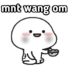mnt wang om