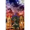 Halloweenie 1 Clásica 15