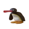 pingumrglider 5