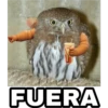 Animales Brazos 1 15