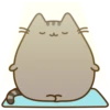 Pusheen The Cat 13