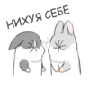 RABBITPYL 9