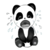 Panda Pipa 5