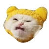 Rare cats 2 10