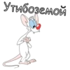 Pinki_Brein 11