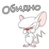 Pinki_Brein 12