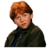 Harry Potter 12