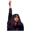 Harry Potter 14