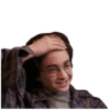 Harry Potter 15