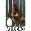 Animales Brazos 1 19