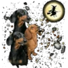 Halloweenie 1 Clásica 19