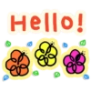 Hello!
