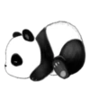 Panda Pipa 8