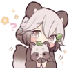 Lovely Raccoon 12