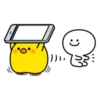Plump Little Chick 17