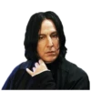 Harry Potter 17