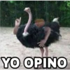 Animales Brazos 1 21