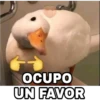Animales Brazos 1 22