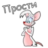 Pinki_Brein 13