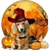Halloweenie 1 Clásica 23