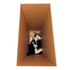 Rare cats 2 17