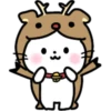 자
257