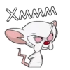 Pinki_Brein 14
