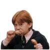 Harry Potter 20