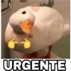Animales Brazos 1 23