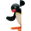 pingumrglider 12