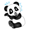 Panda Pipa 11