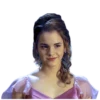 Harry Potter 22