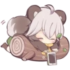 Lovely Raccoon 21