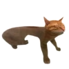 Rare cats 2 20