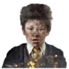 Harry Potter 24