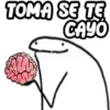 TOMA SE TE
CAYO