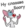 Pinki_Brein 16