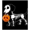 Halloweenie 1 Clásica 26