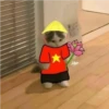 gatintin gatintin 25