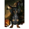 Halloweenie 1 Clásica 27