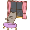 Pusheen The Cat 27