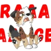 RAA
MAGI